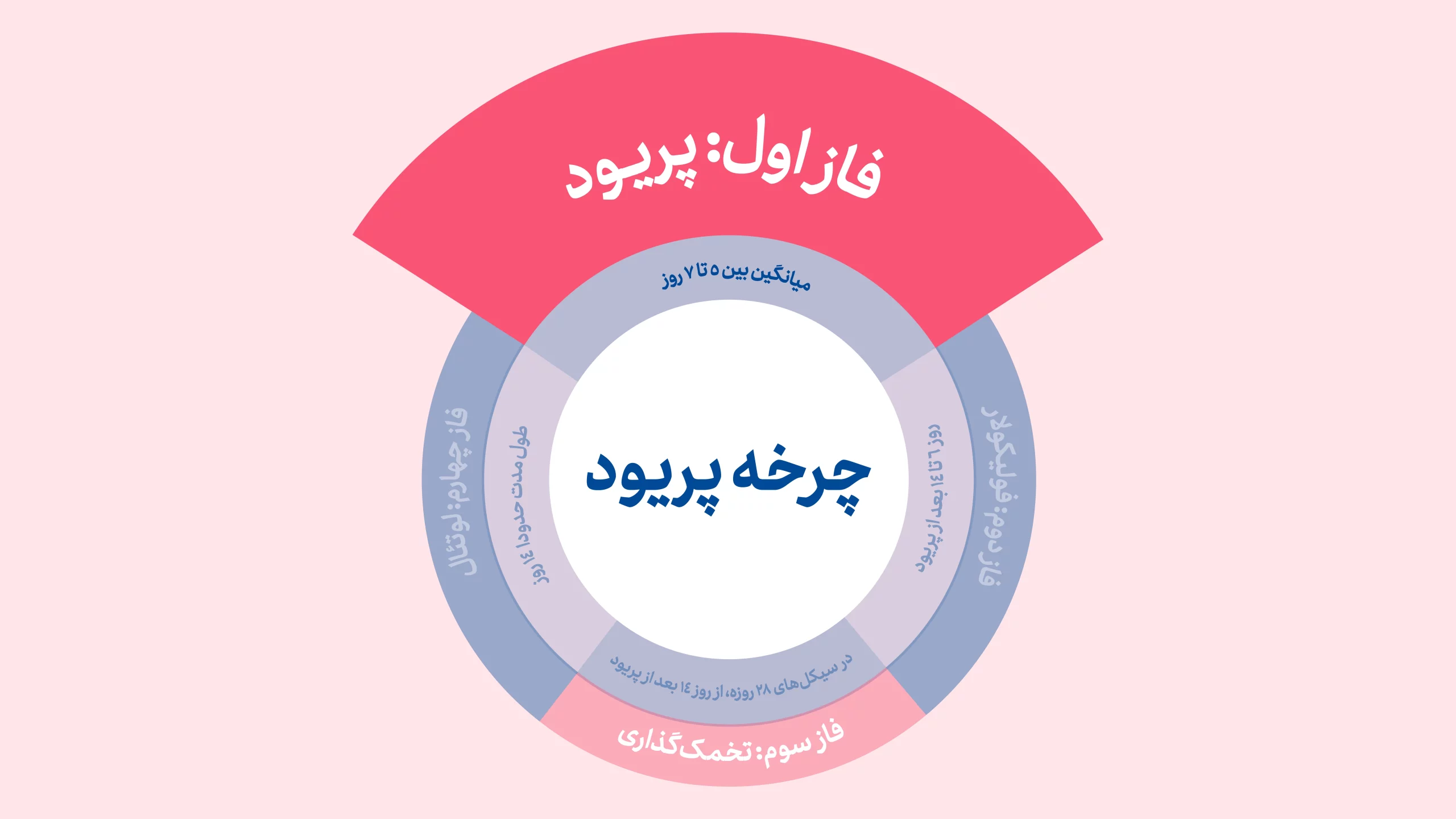 فاز پریود سیکل قاعدگی