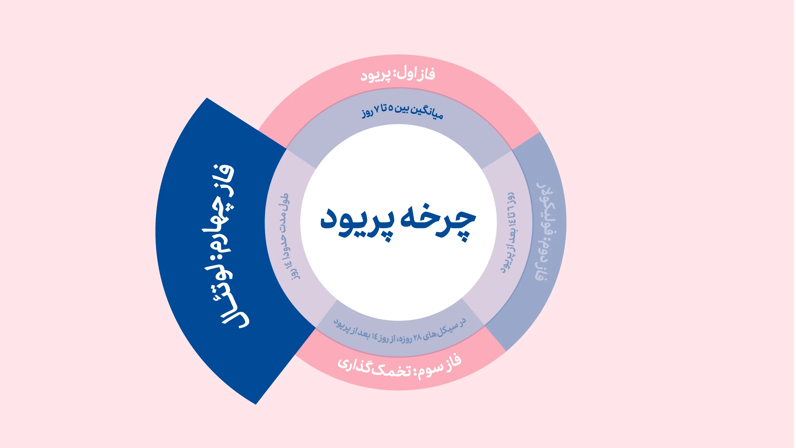 فاز لوتئال چرخه پریود