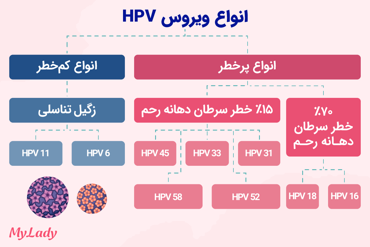 انواع ویروس hpv پرخطر و کم خطر