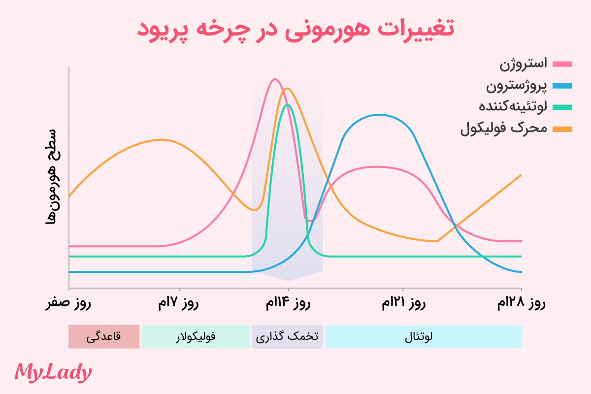 نمودار تغییرات هورمونی در چرخه پریود